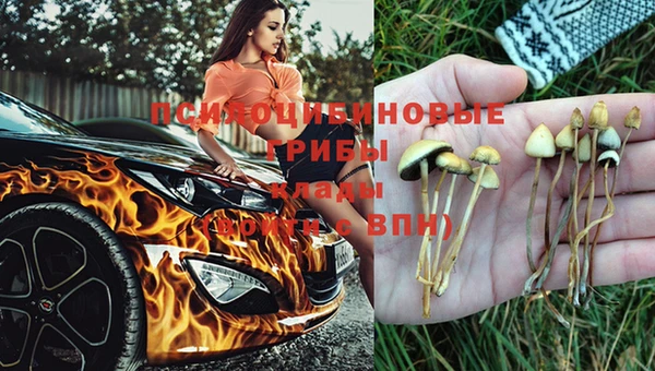 марки lsd Алексеевка