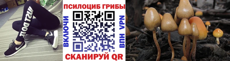 Галлюциногенные грибы Psilocybe  наркошоп  MEGA вход  Бийск 