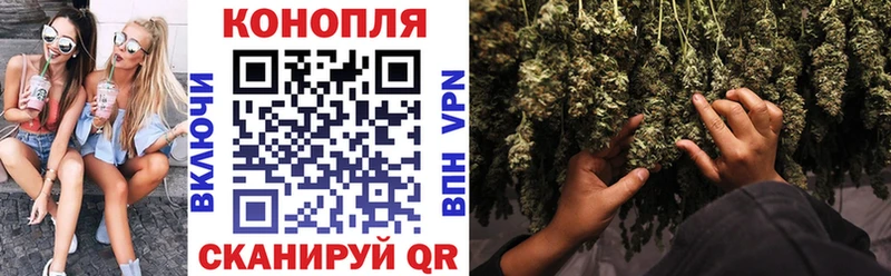дарнет шоп  Бийск  Бошки марихуана Ganja 